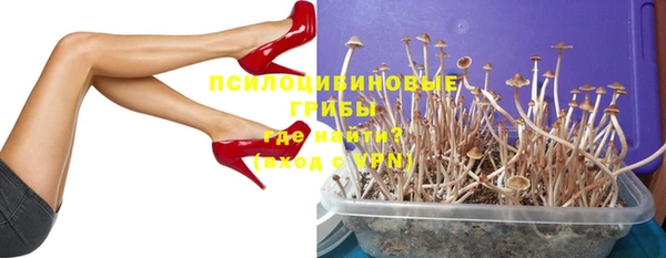 ГАЛЛЮЦИНОГЕННЫЕ ГРИБЫ Беслан