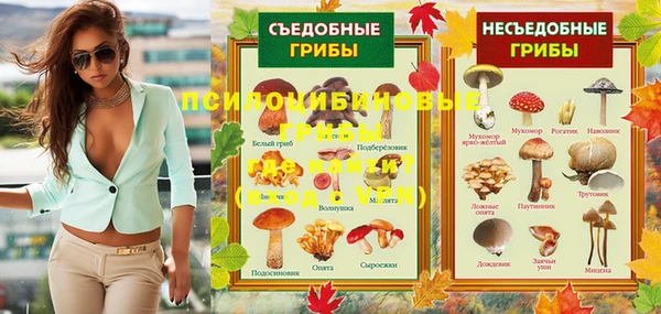гашик Верея
