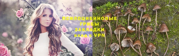 ECSTASY Верхний Тагил