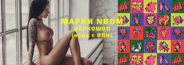 гашик Верея