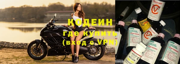 гашик Верея