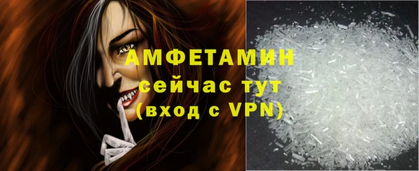 гашик Верея