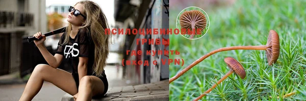 гашик Верея